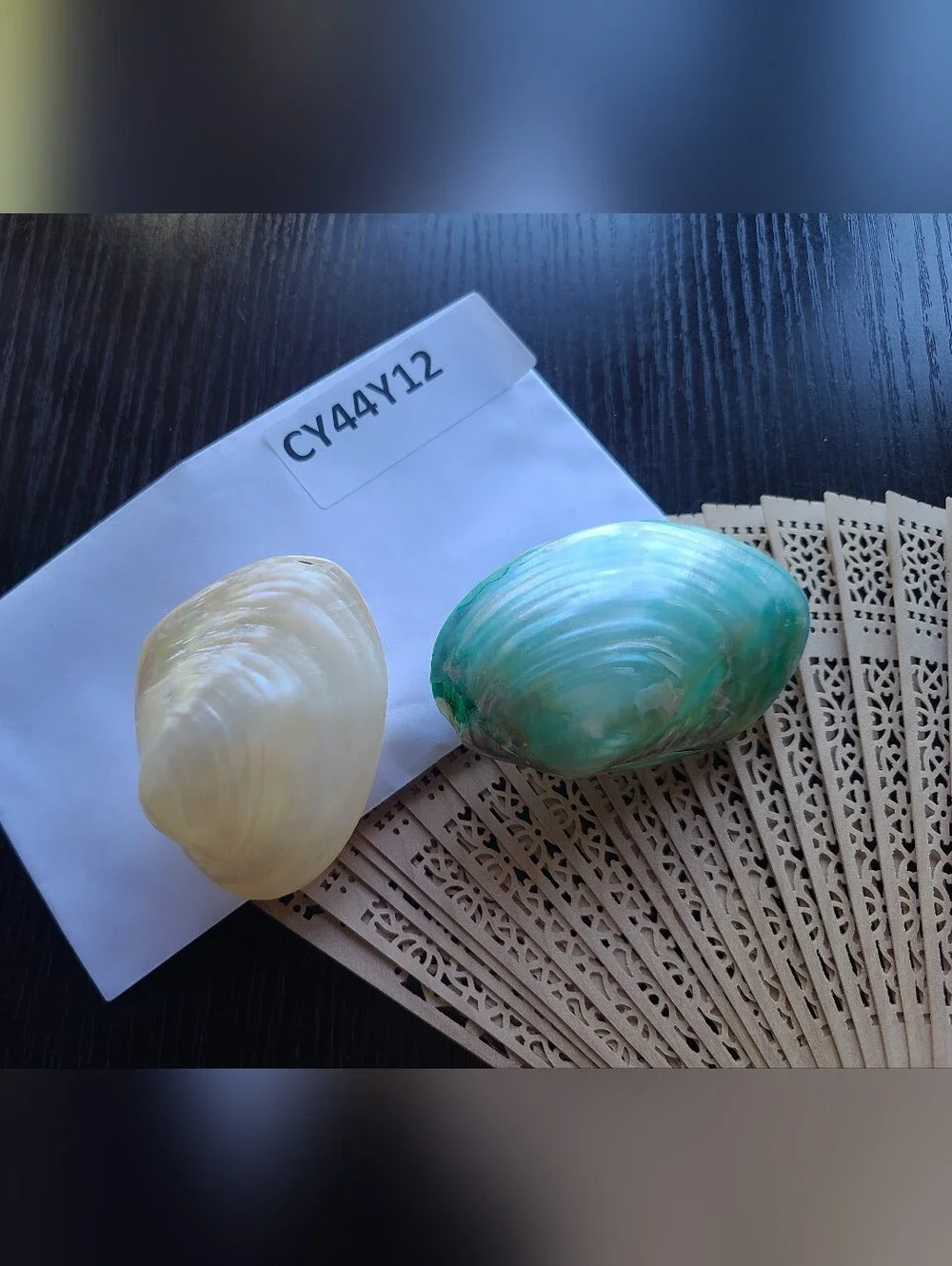 Iridescent Abalone Shell Pair - Cream & Seafoam Green